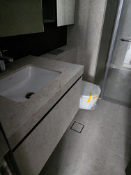 THE RANZ (D8), Apartment #452905991